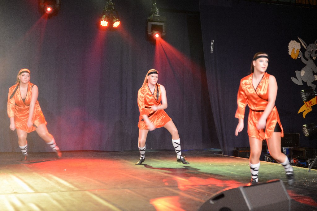 ../Images/Dansmarieke Festival 2016 412.jpg